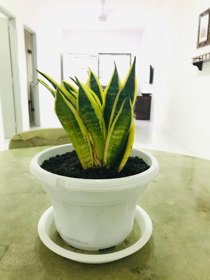 Alyn Home Batu Pahat II Wifi Coway Mohd Noor Экстерьер фото